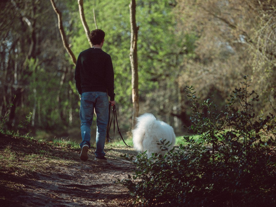 Person walking outdoors in nature as part of a healthy movement routine