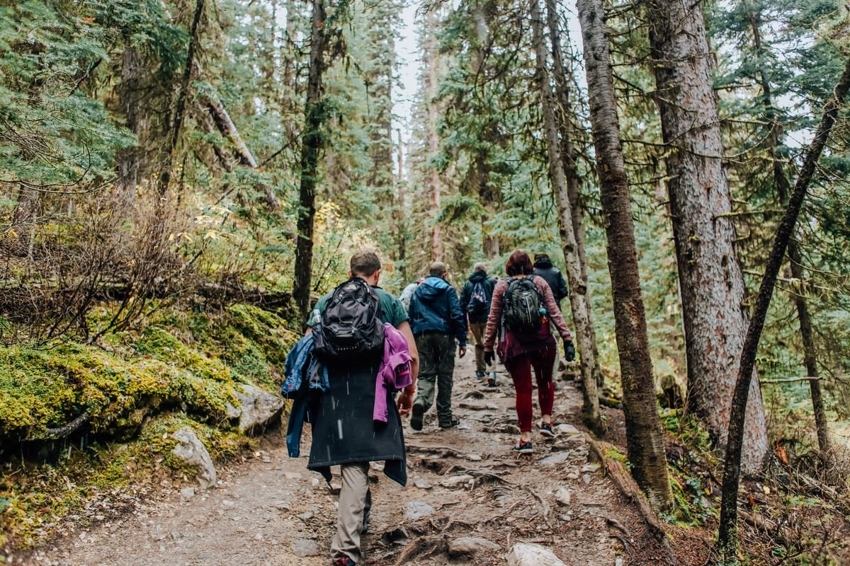 A group of people walking briskly along a wooded trail surrounded by greenery
