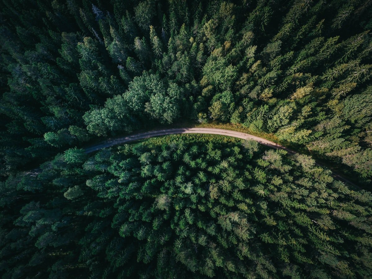 A quiet path through green countryside