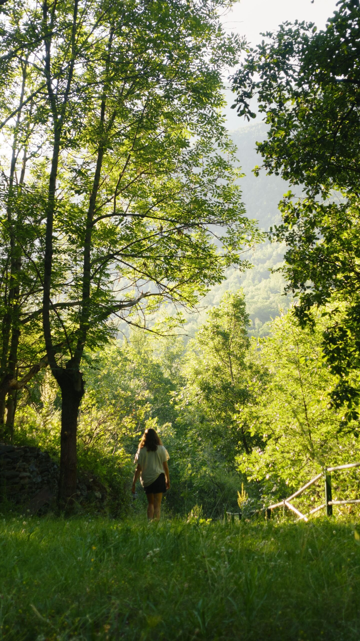 A person walking alone along a sunlit forest path