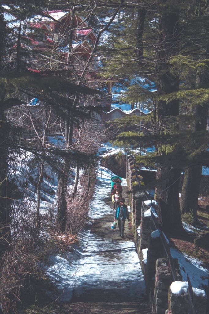 People walking along a tree-lined pathway outdoors on a bright day